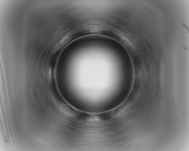X0000099470262200805091553