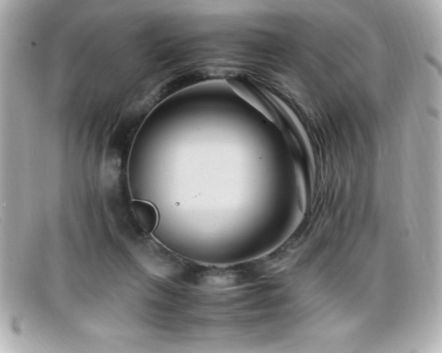 X0000099470263200805091553