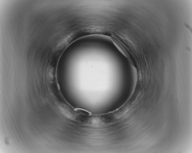 X0000099470264200805091553