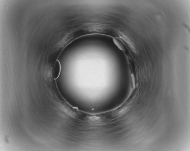 X0000099470265200805091553
