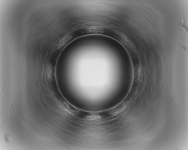 X0000099470266200805091553