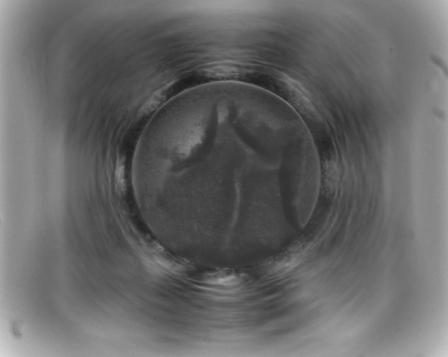 X0000099470267200805091553