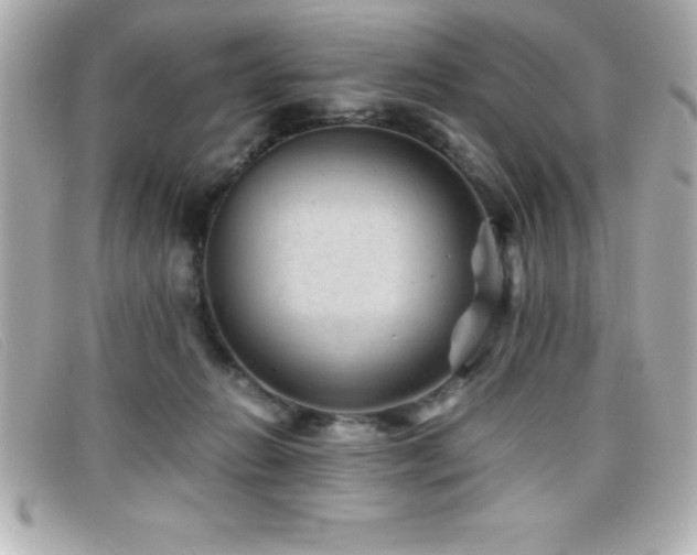 X0000099470270200805091553
