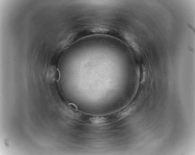 X0000099470273200805091553