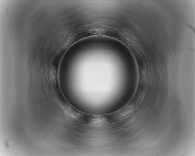 X0000099470274200805091553