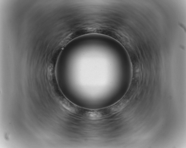 X0000099470275200805091553