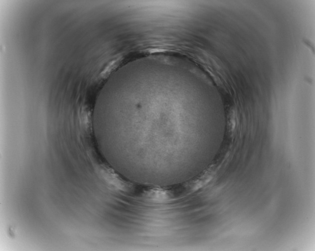 X0000099470276200805091553