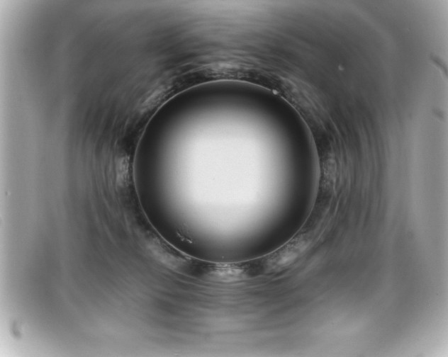 X0000099470278200805091553