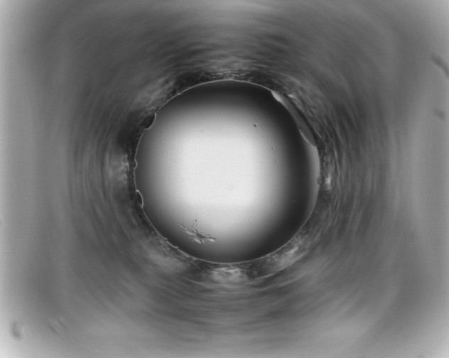 X0000099470279200805091553