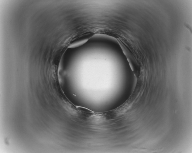 X0000099470280200805091553