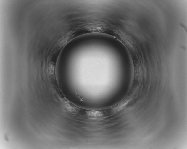 X0000099470281200805091553