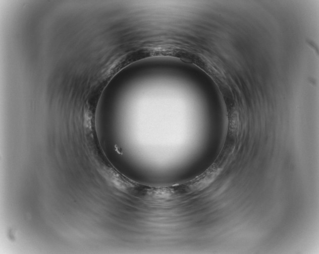 X0000099470282200805091553