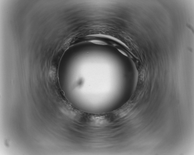 X0000099470283200805091553