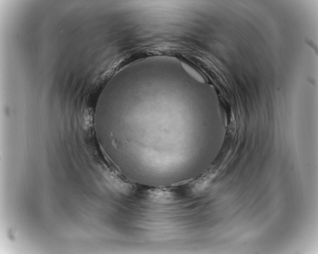 X0000099470284200805091554