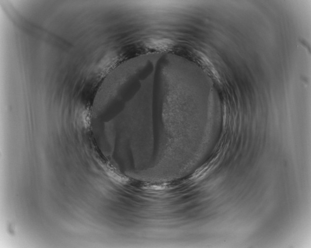 X0000099470285200805091554