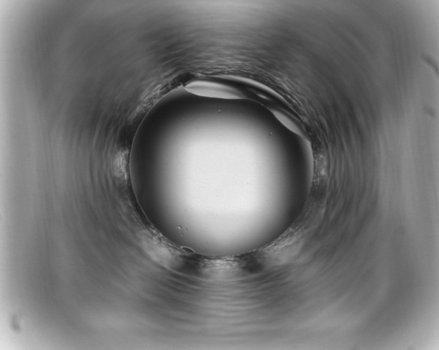 X0000099470286200805091554