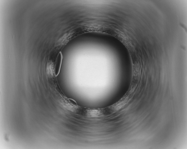 X0000099470287200805091554
