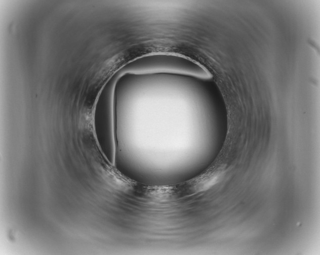 X0000099470288200805091554