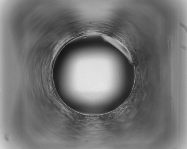 X0000099470289200805091553