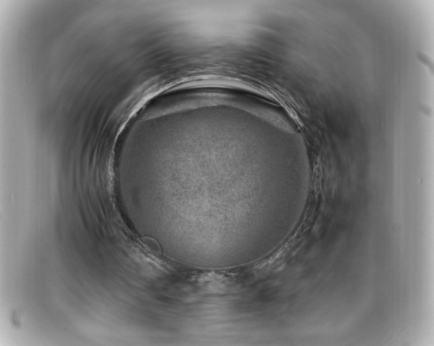 X0000099470290200805091553