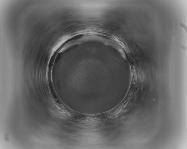X0000099470292200805091553