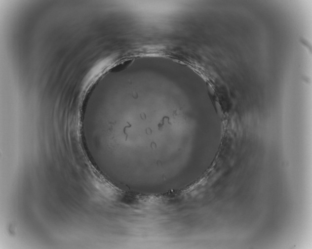 X0000099470293200805091553
