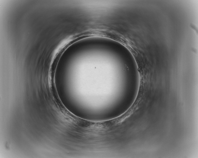 X0000099470294200805091553