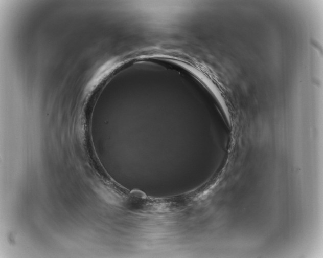 X0000099470295200805091553