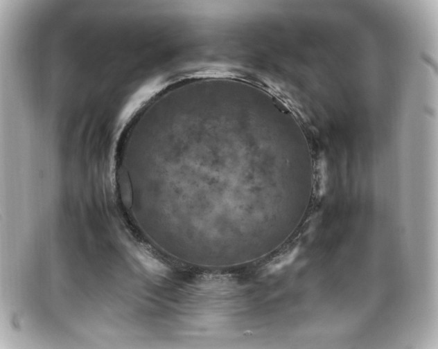 X0000099470296200805091553