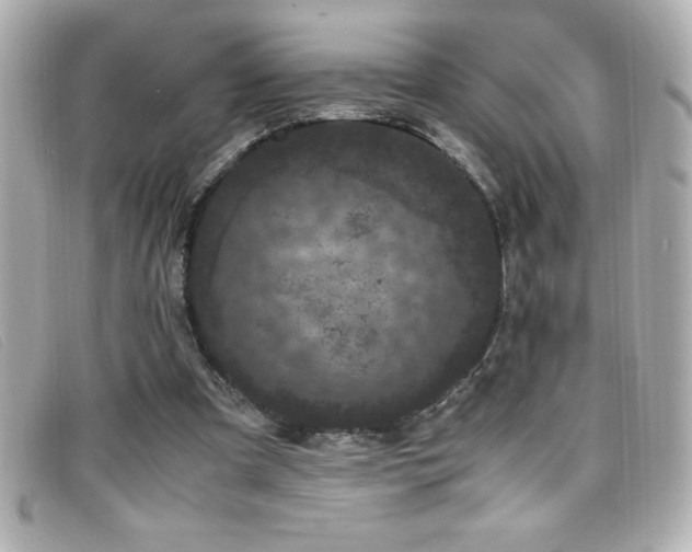 X0000099470297200805091553