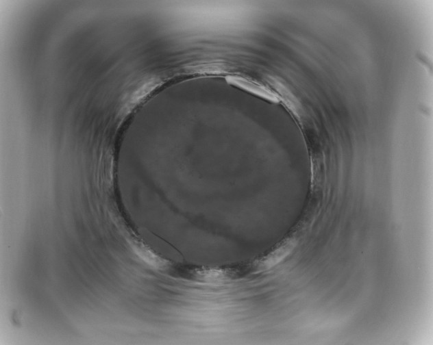 X0000099470301200805091553