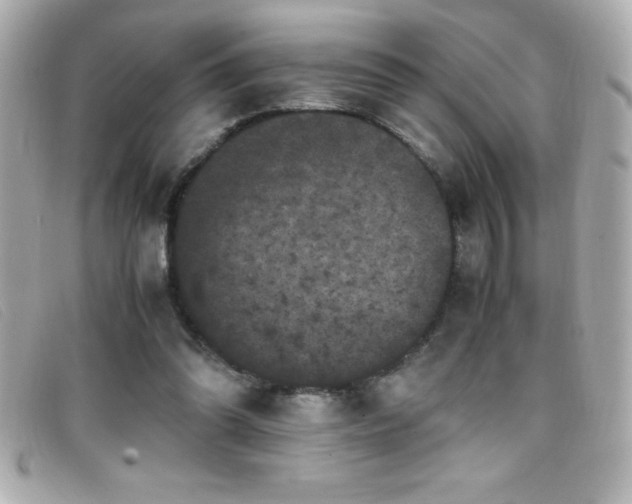 X0000099470302200805091553