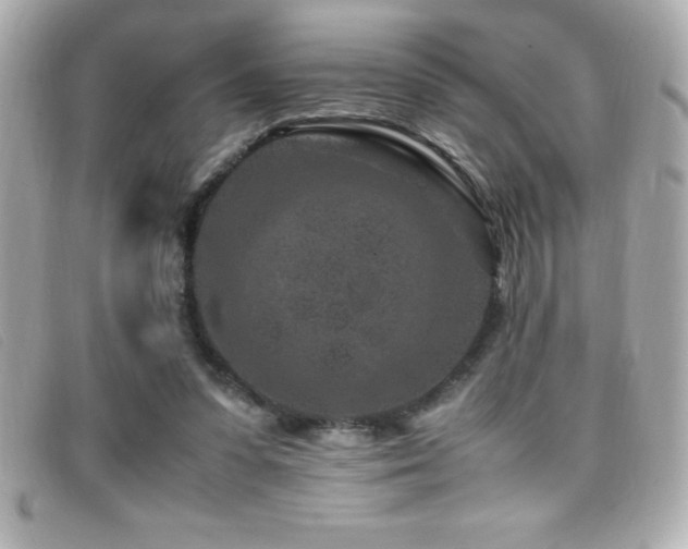 X0000099470303200805091553