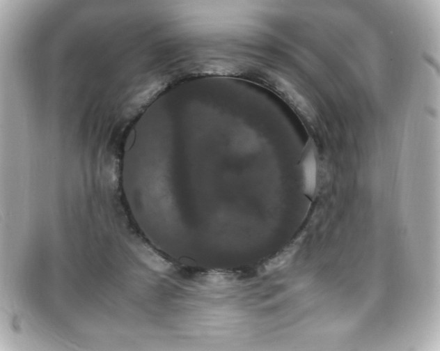 X0000099470305200805091553