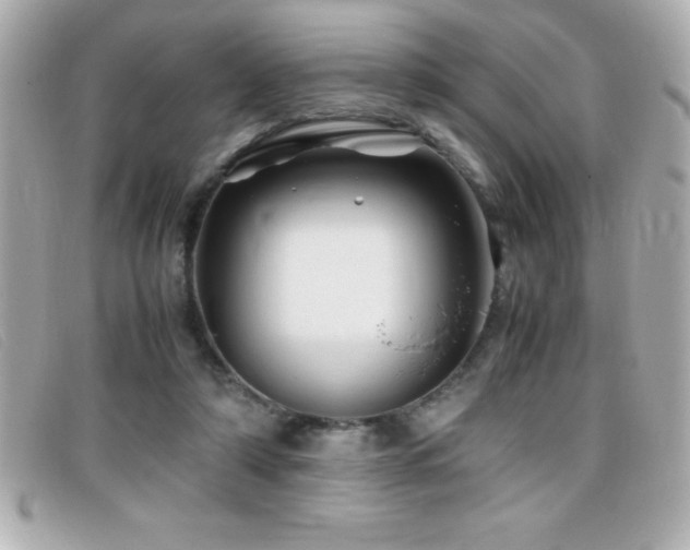 X0000099470306200805091553