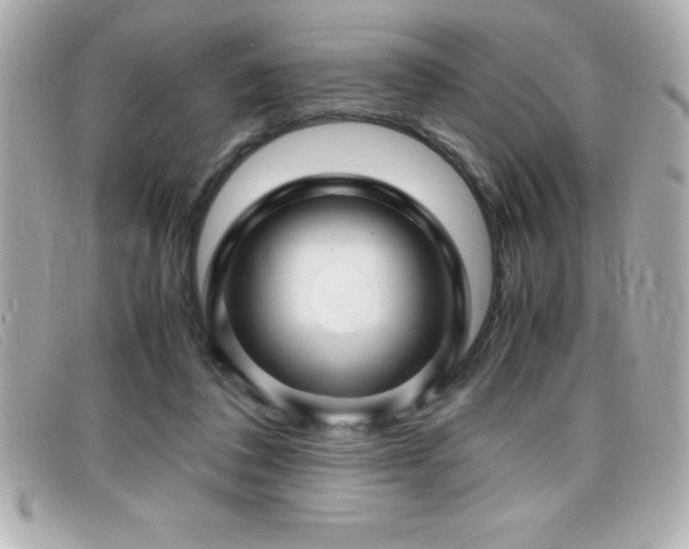 X0000099470308200805091553