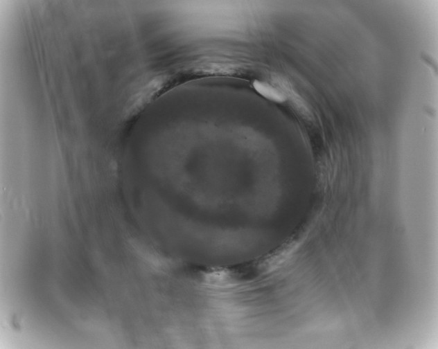 X0000099470309200805091553
