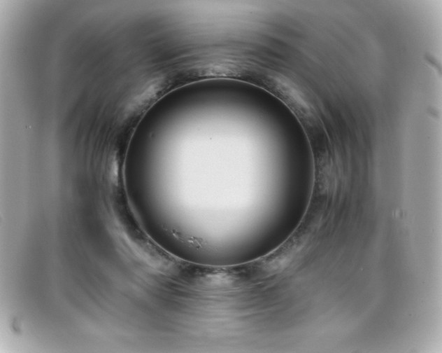 X0000099470310200805091553
