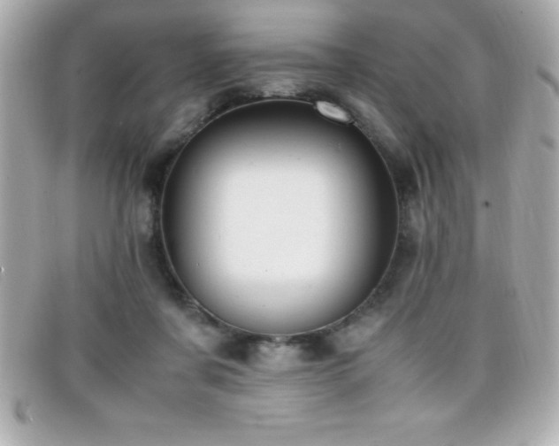X0000099470311200805091553