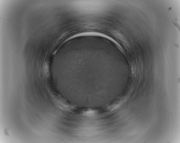 X0000099470312200805091553