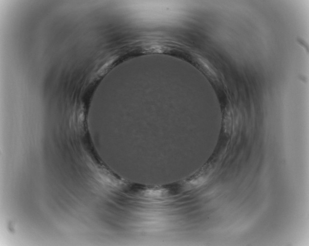 X0000099470314200805091553