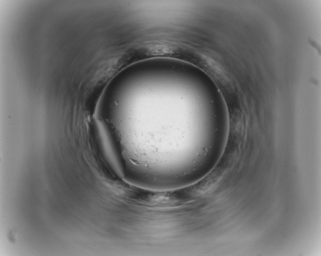 X0000099470315200805091553