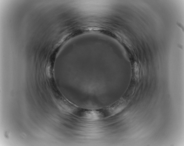 X0000099470316200805091553