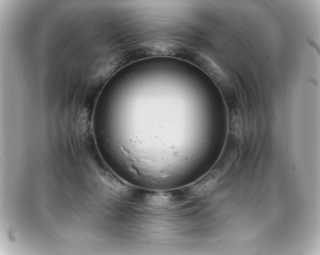 X0000099470318200805091553