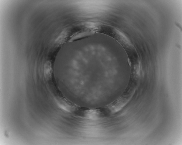X0000099470320200805091552