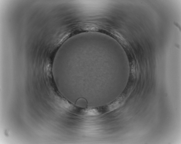 X0000099470322200805091552