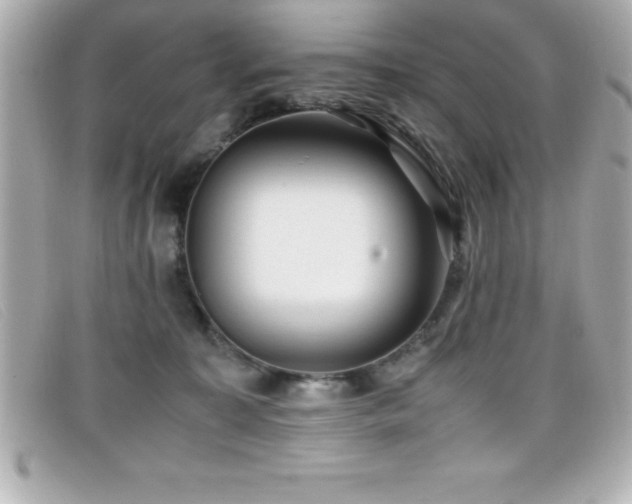 X0000099470323200805091552