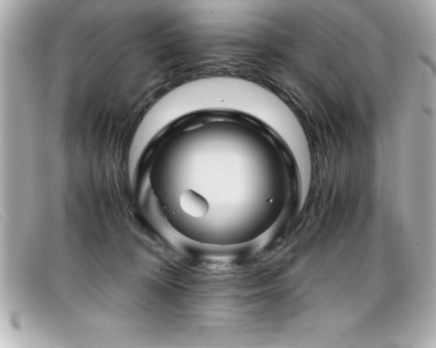 X0000099470324200805091552