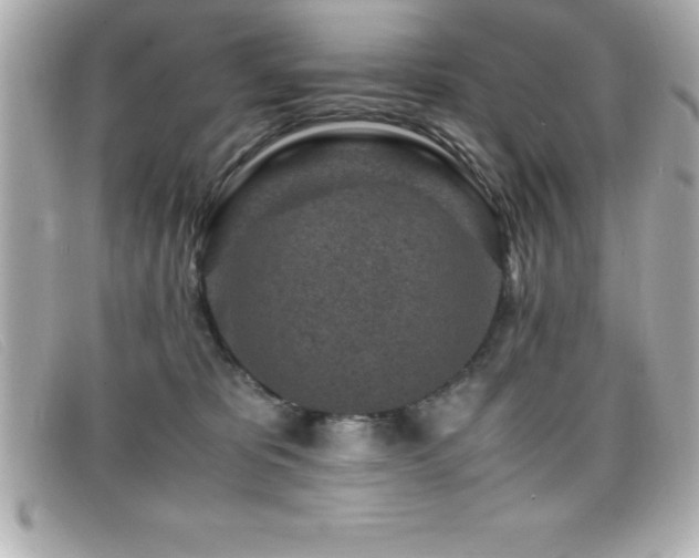 X0000099470325200805091552