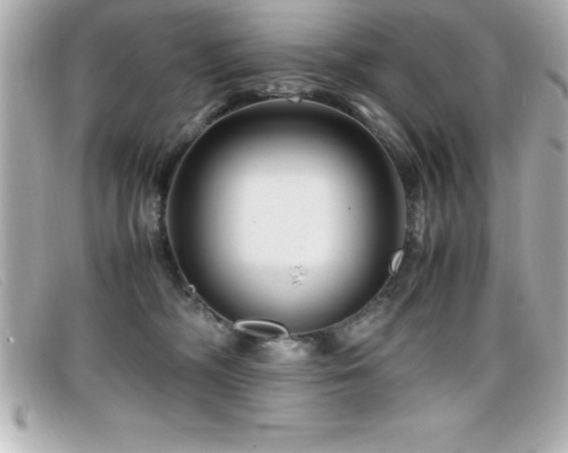 X0000099470326200805091552